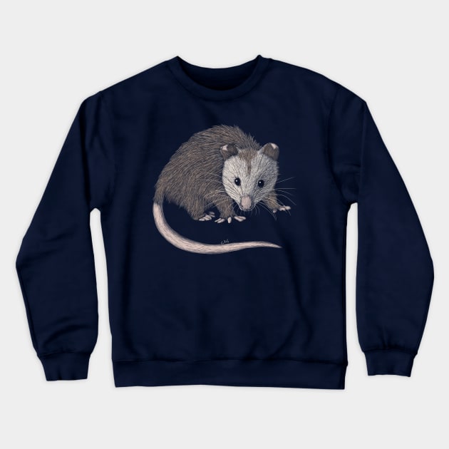 Opossum Crewneck Sweatshirt by Walking in Nature